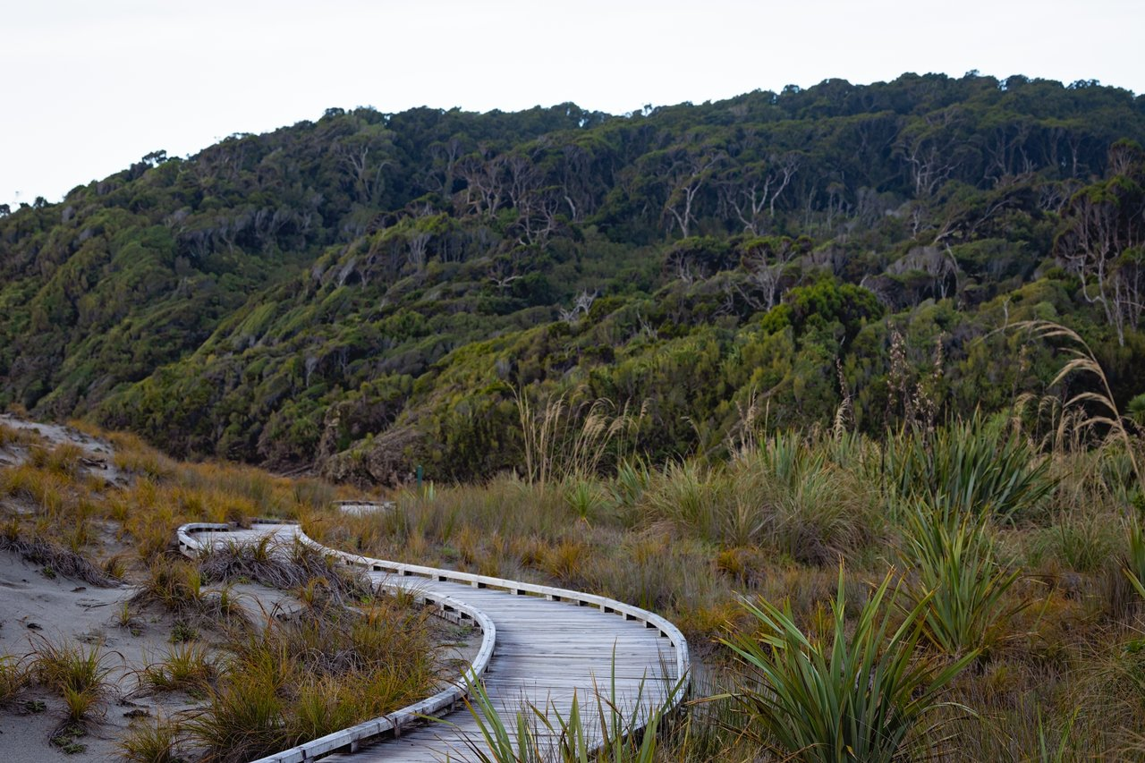 Christchurch to Franz Josef via Hokitika Small Group Tour (One Way) including TranzAlpine Train (Scenic Plus) - Photo 1 of 7